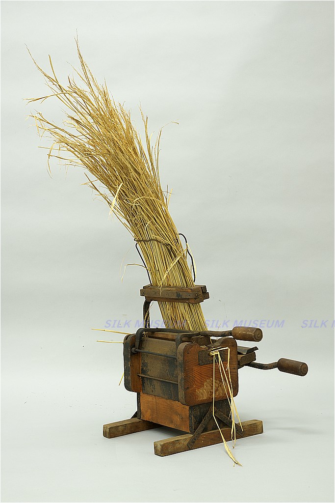 稀少 あとぐちさん コロポックルの『女の子』 生々しく 